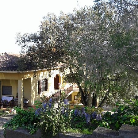 B&B Coldulivo Capoterra Exterior foto