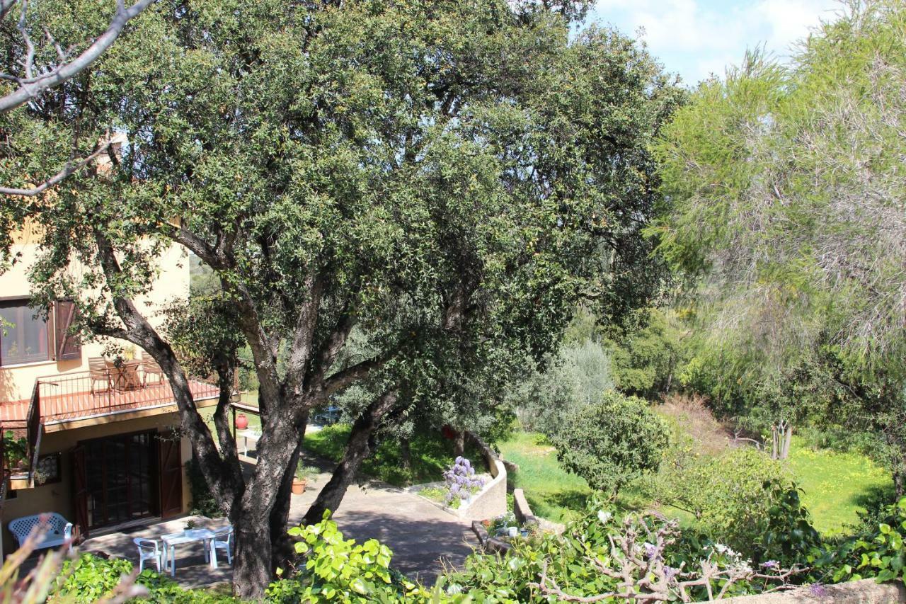 B&B Coldulivo Capoterra Exterior foto